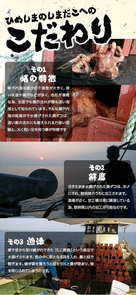 島のこぼれたこ焼～天然真だこ使用～（冷凍配送）