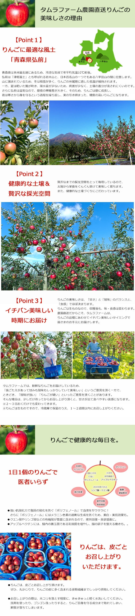 ★コールセンター用★★サンふじご贈答用特選３ｋｇ【送料込】【葉っぱとらじろう】【りんご】【青森県産】【タムラファーム農園直送】【逸品定期便2024年度第9便】【期間限定】