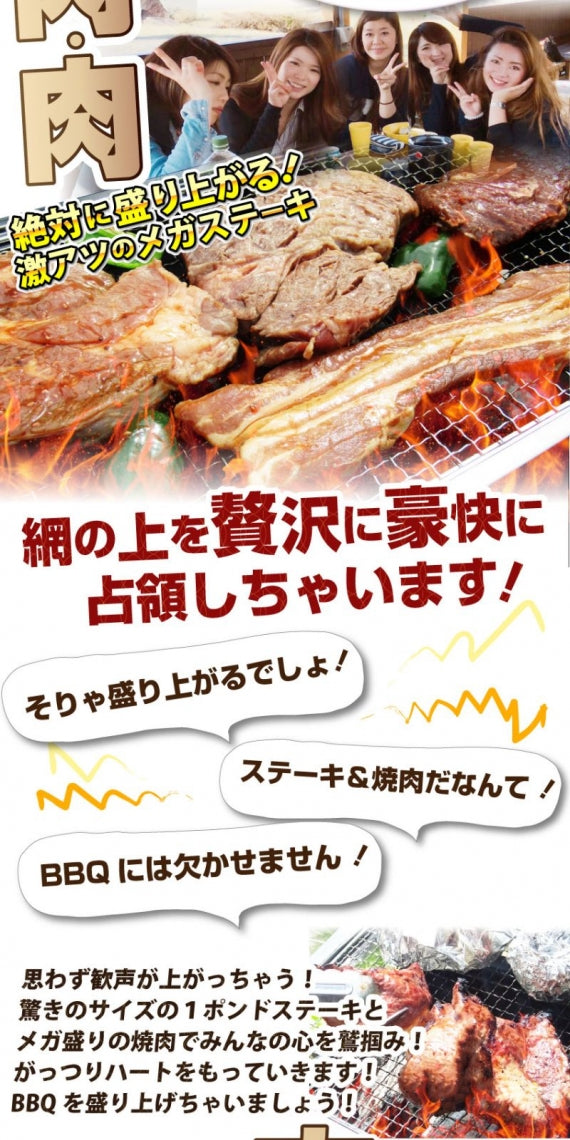 牛肉 肉 ステーキ＆焼肉 BBQ ギガ盛り 3kg超 福袋 肉祭り セット タレ ハサミ トング トレー付き お歳暮 ギフト 食品 プレゼント キャンプ キャンプ飯