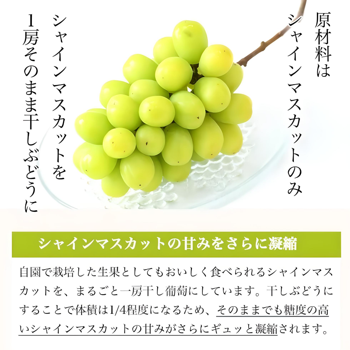 シャインマスカット枝付き干しぶどう 2袋【今なら】希少な「神紅」干しぶどうおまけ付き！！