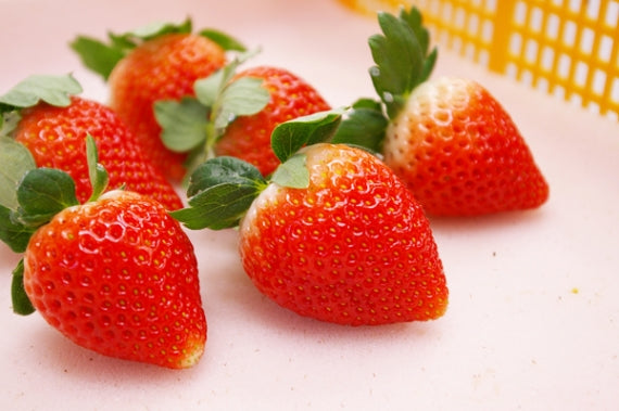 【栃木県発！】とちあいか　いちご大福(こし餡）３個　よもぎいちご大福(粒餡）３個　詰合せ　 6個入り 　