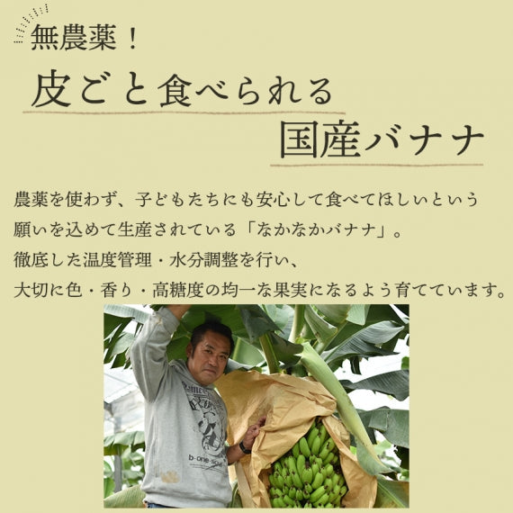 ［産地直送］長崎県島原産　なかなかバナナ1kg（冷凍・段ボール入)