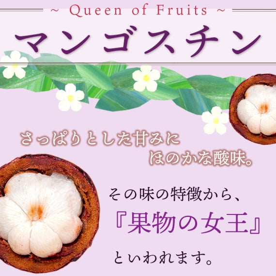 【予約販売】タイ産マンゴスチン