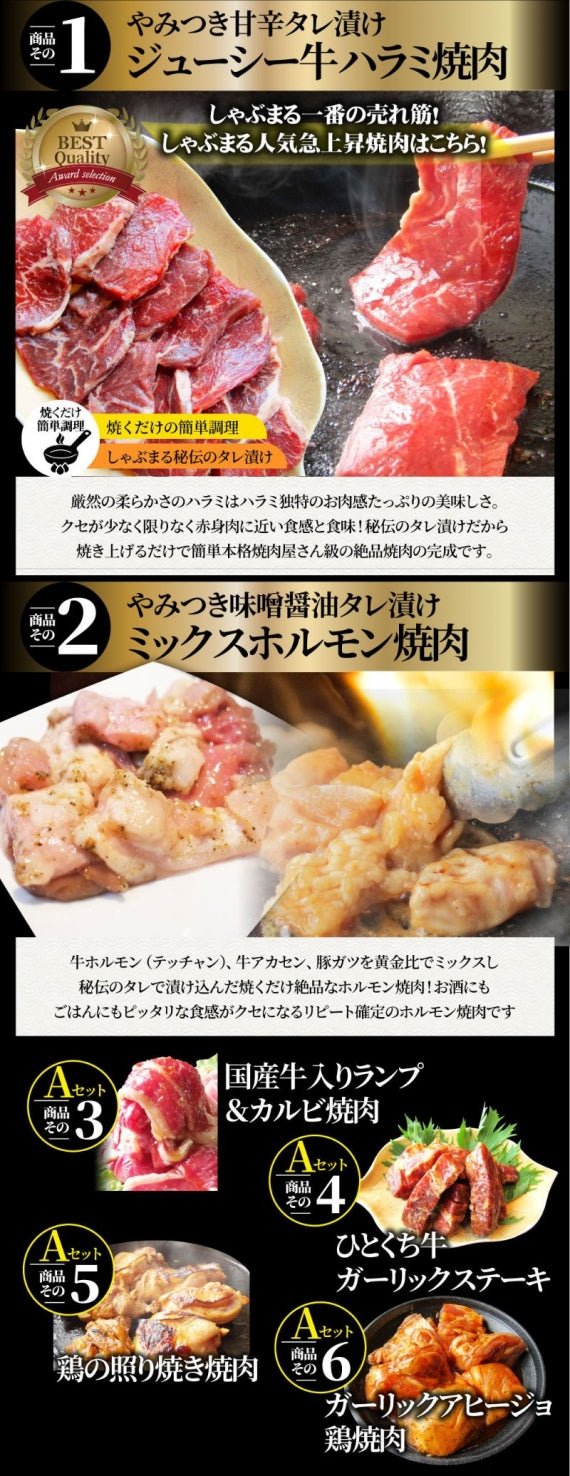 【2023逸品定期便第1便】たっぷり6種のメガ盛り焼肉食べ比べ福袋　焼肉 焼肉セット 大容量 バーベキュー BBQ　 ※当日発送対象