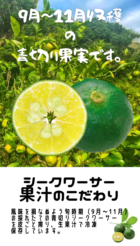【送料無料】沖縄県産シークヮーサー搾り100％ストレート果汁360ml　3本セット