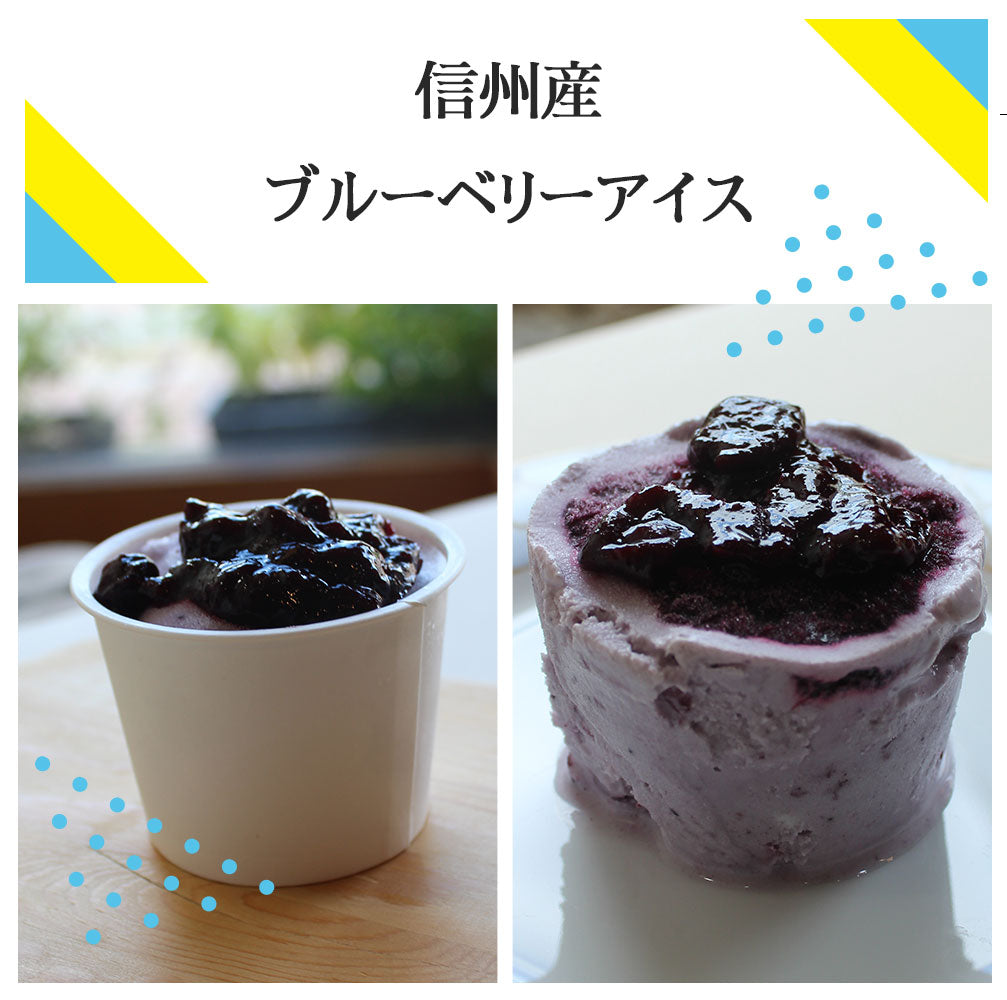 旬の味をお届け【限定１０箱】信州産ブルーベリーアイス６個入れ【送料込み・沖縄のみ別途】  ～ 贅沢な味わいをお届けします ～