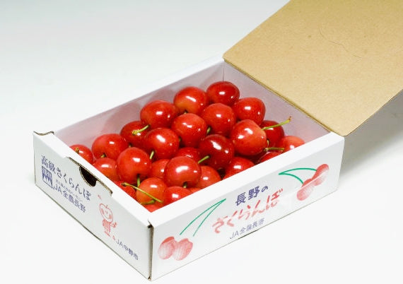 【販売期間外】【期間限定】長野県産ハウスさくらんぼ (300gバラ詰め）※４月中旬頃～５月末