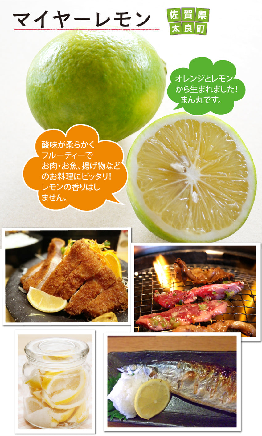 ★他の商品と同梱で送料無料★レモン（1個：リスボンまたはマイヤー）