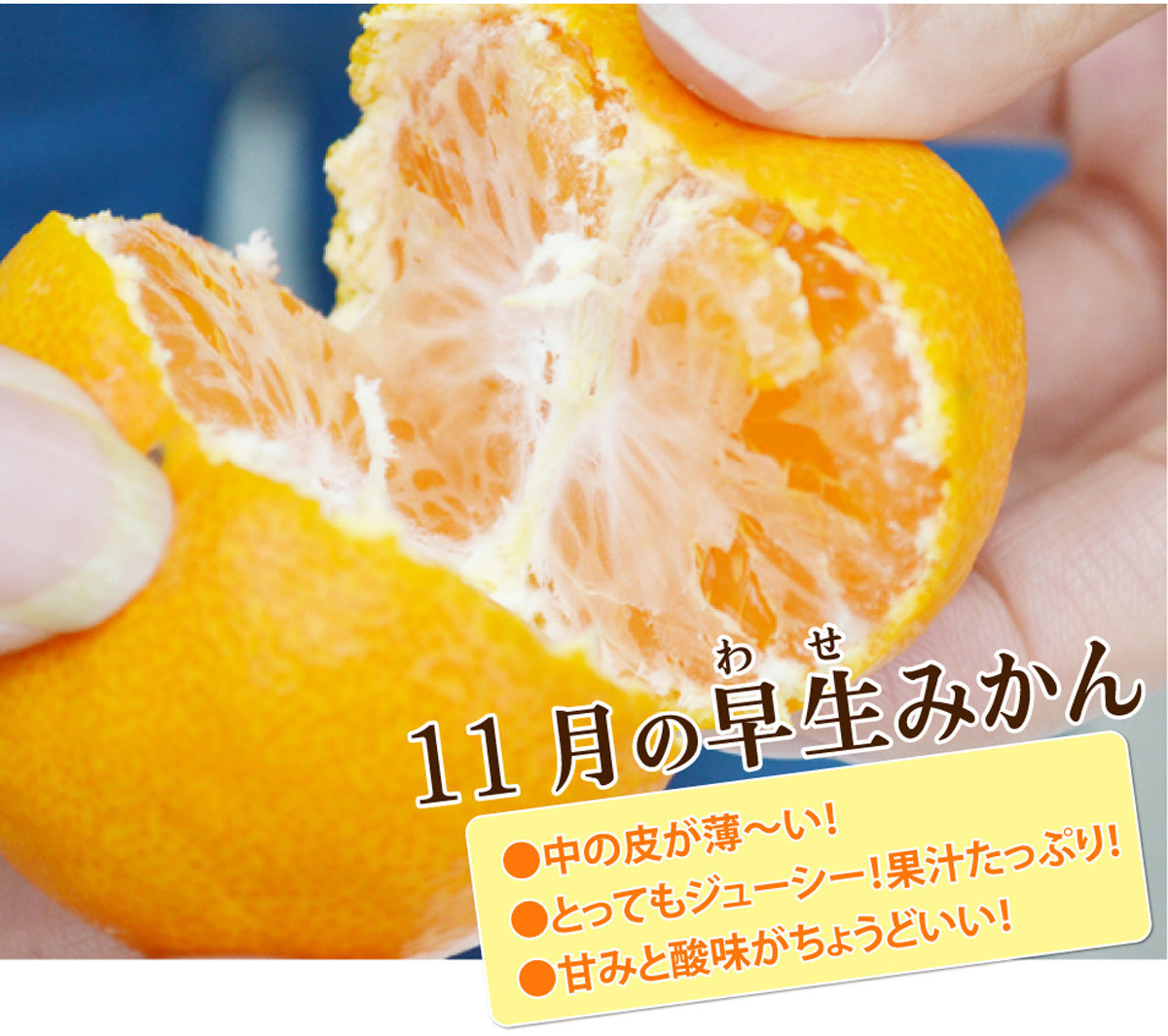 ＼＼ミカンが美味しい季節だから／／早生みかん定期便（約10日毎に3回届く）