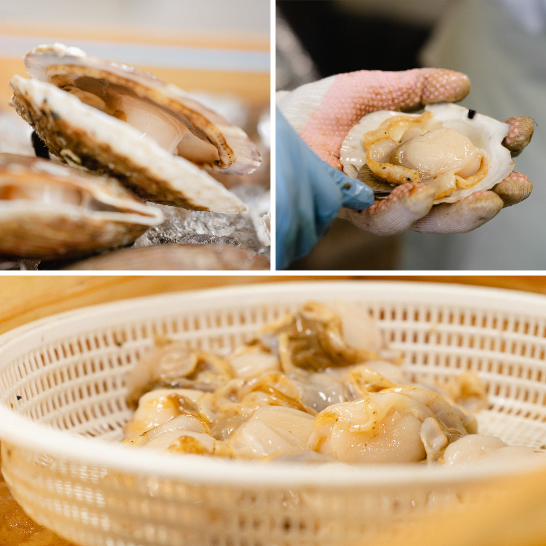 青森県産『ほたて貝焼きみその素』(2人前)ご飯のお供に酒の肴に、青森県民が愛するご当地グルメをお手軽に。むつ湾産ほたて使用！