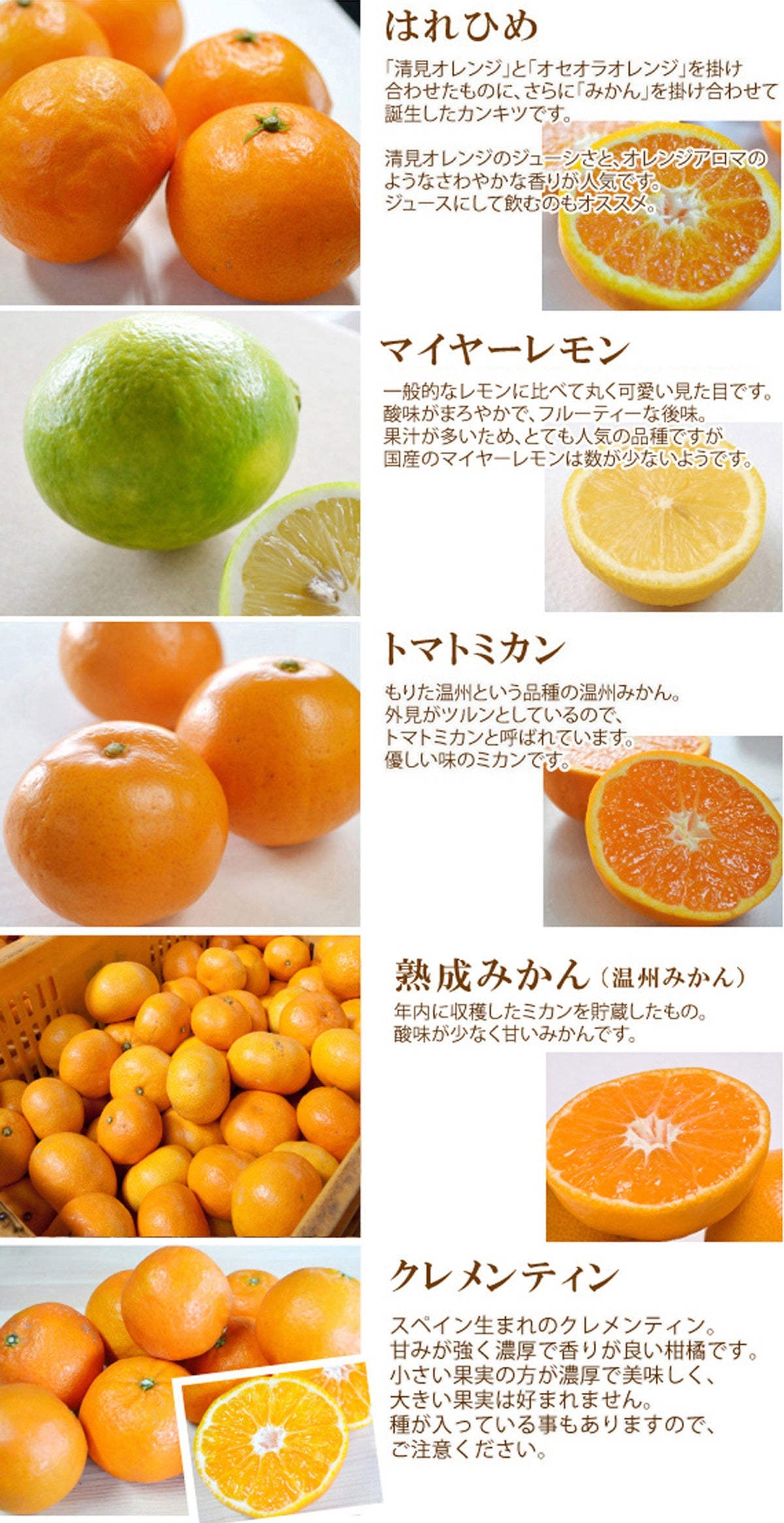新年★旬の柑橘詰合せ　2026年★【送料無料】