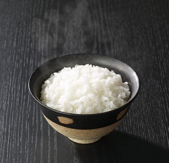 福井県産 令和5年産 奥越コシヒカリ5キロ2袋セット（送料無料）福井　米