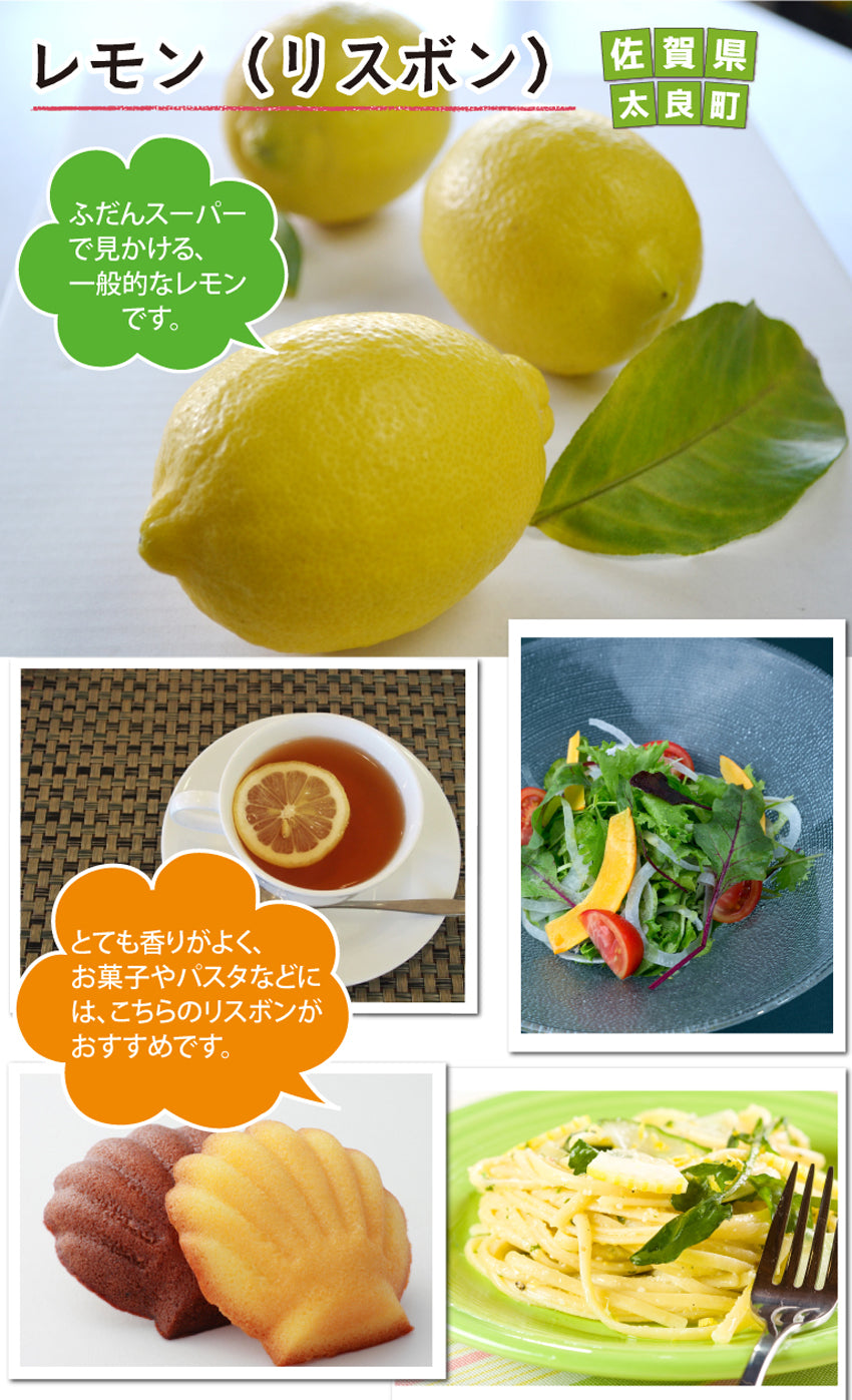 ★他の商品と同梱で送料無料★レモン（1個：リスボンまたはマイヤー）