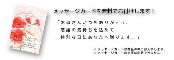 【母の日ギフト・誕生日プレゼント】 梅酒早春二本セット（母の日ラベル・送料込） メッセージカード付き
