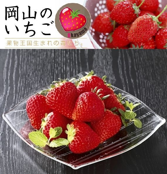 人気NO.1 岡山県産 【真っ赤な大粒いちごビックリバスケット入り】約900g★凝縮されたジューシーな美味しさが最高です！発送は１１月下旬から