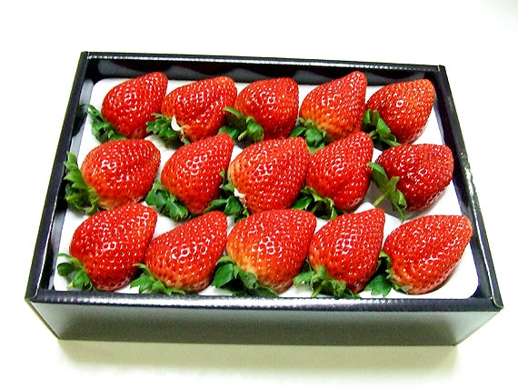 岡山県産　真っ赤な大粒いちご【１箱】(15個入り）★凝縮されたジューシーな美味しさが最高です！