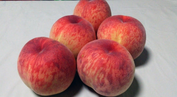 【販売中】糖度選別桃（香川県・岡山県又は、信州産）　約4ｋｇ　１０～１６玉（玉数・産地指定不可）