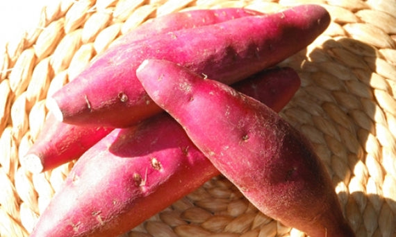 本格芋焼酎　鳴門金時里娘　25度　720ml