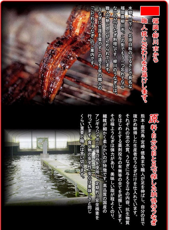 ■一口サイズのうなぎセイロ蒸し■　炙りうなぎ笹めし10個入【S-60】（国産）