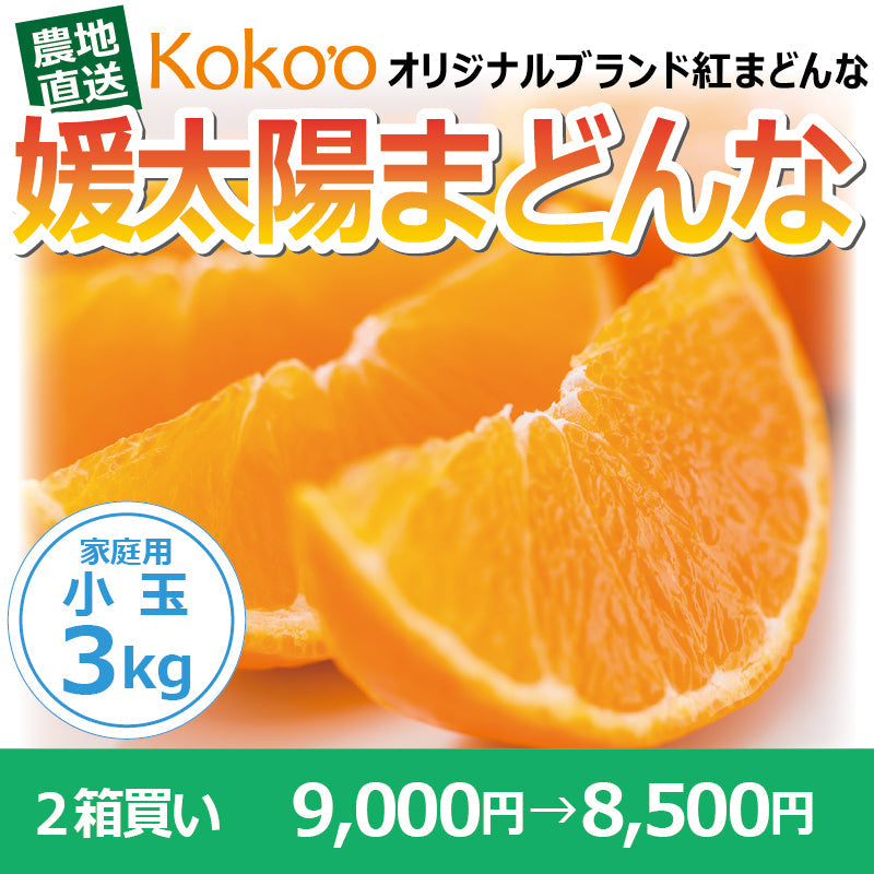 【※今季受付一旦終了※】【送料無料】訳あり媛太陽まどんな「小さなまどんなちゃん」〈家庭用・小玉〉約3kg