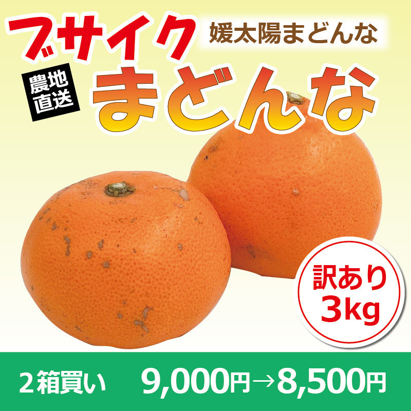 ※今季販売終了※【送料無料】訳あり媛太陽まどんな「ブサイクまどんな」〈家庭用・訳あり〉約3kg