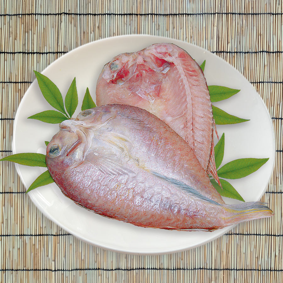 浜田産こだわりの甘鯛一夜干し　2尾入り【送料込み】（北海道・沖縄は８８０円（消費税込み）加算となります。）【グルメ・おつまみ】【鮮魚・魚介類】
