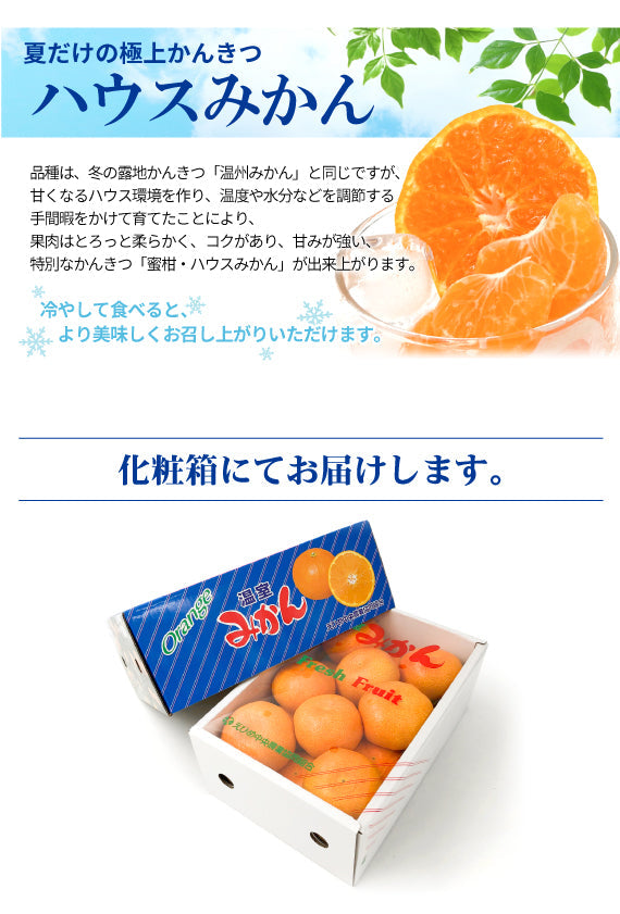 ※今季販売終了※【送料無料】愛媛県産ハウスみかん〈秀品〉約1.3kg※チルド便発送