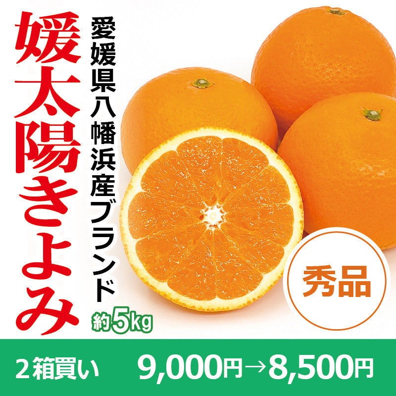 ※今季販売終了※【送料無料】愛媛県産「きよみ」‐媛太陽きよみ-〈秀品〉約5kg
