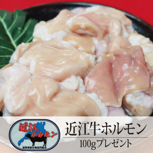 【近江牛ホルモンプレゼント！】 ◎近江牛焼肉◎　（２～３人前）　バラ＆赤身セット　合計４００g　《冷凍便》