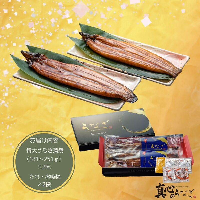 【宮崎県産】特大うなぎ蒲焼2尾セット　土用の丑の日　御中元　国産鰻　送料無料【鮮魚・魚介類】