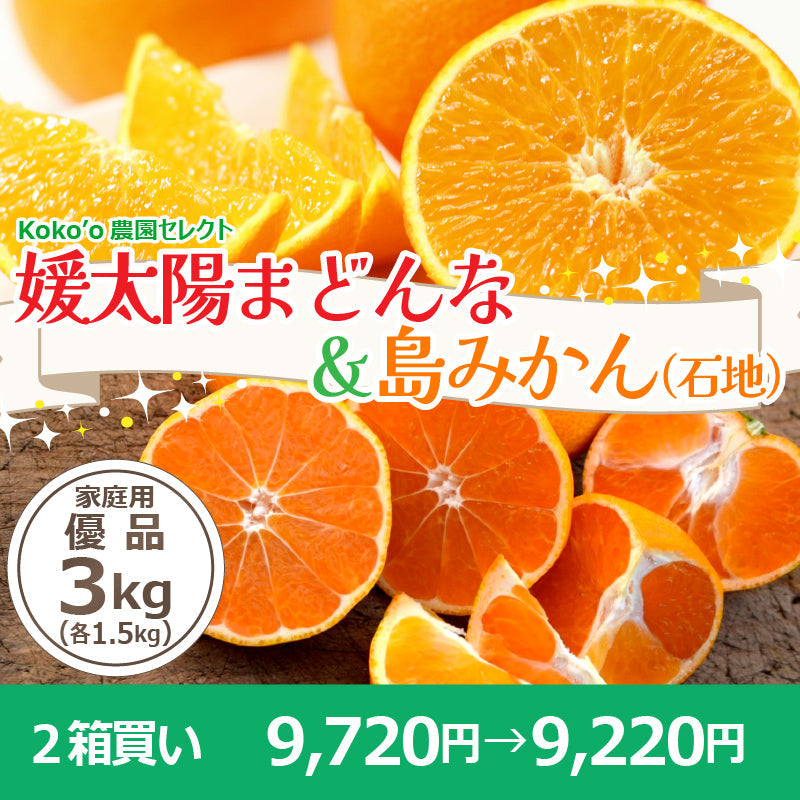 【※今季販売終了※】【送料無料】農園セレクト旬柑橘食べ比べセット〈家庭用・優品〉※次回は、2026年9～10月頃から予約開始予定です。