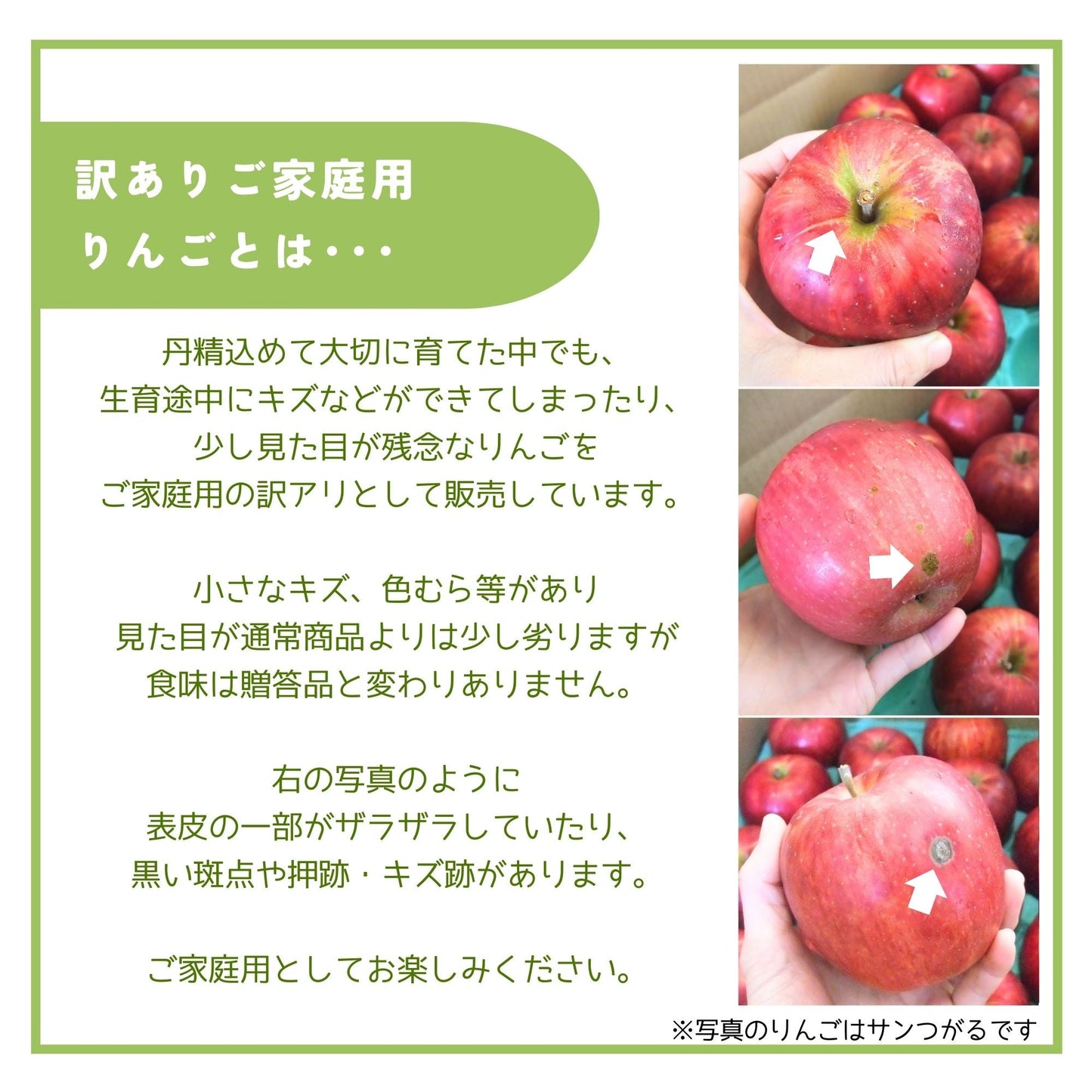 ■サンふじ訳あり家庭用【送料込】【葉っぱとらじろう】【りんご】【青森県産】【タムラファーム農園直送】【期間限定】