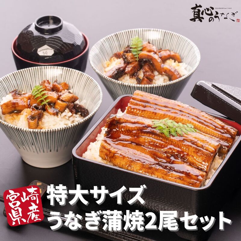 【宮崎県産】特大うなぎ蒲焼2尾セット　土用の丑の日　御中元　国産鰻　送料無料【鮮魚・魚介類】