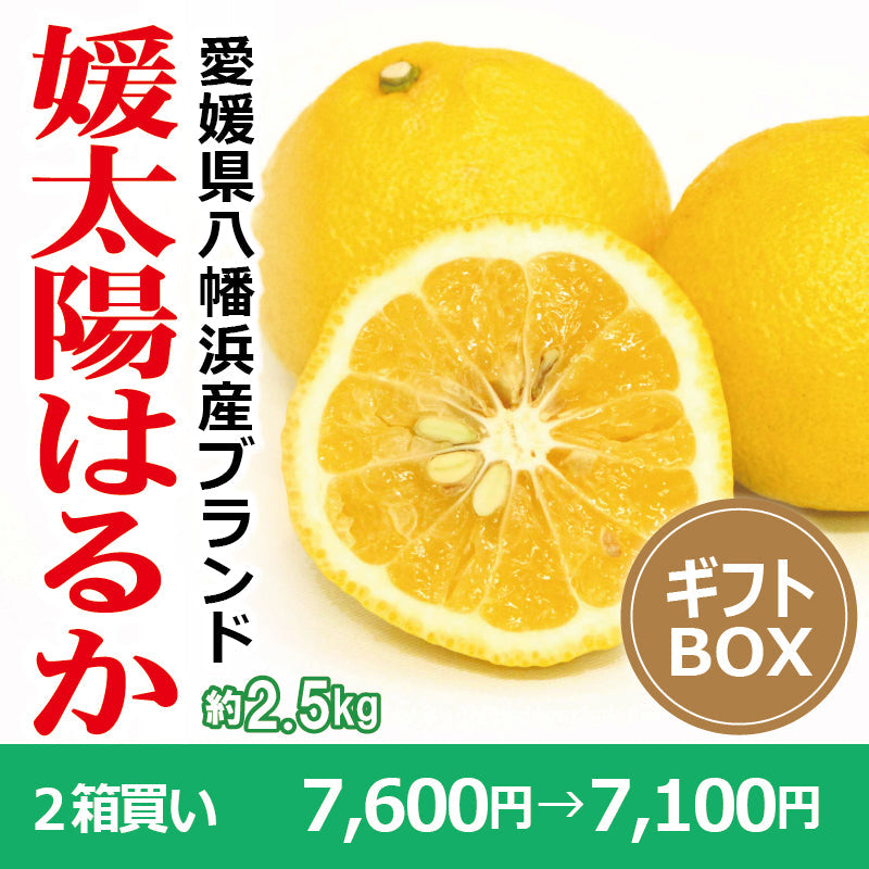 ※今季販売終了※【送料無料】愛媛県産「はるか」-媛太陽はるか-〈秀品・ギフトBOX〉約2.5kg