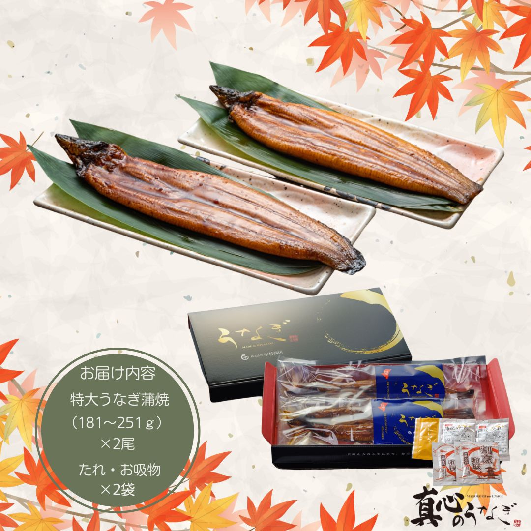 【宮崎県産】特大うなぎ蒲焼2尾セット　お歳暮　国産鰻　送料無料【鮮魚・魚介類】