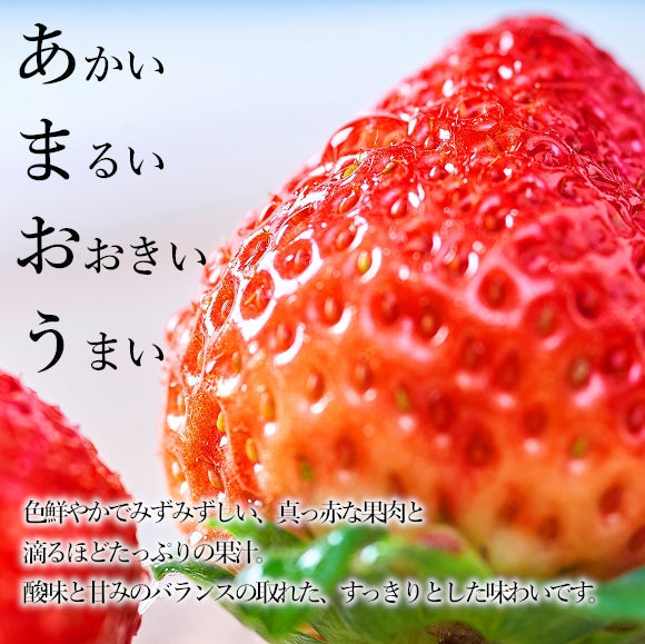 【予約販売】福岡・佐賀産 紅白いちご  (あまおう×白いちご)【フルーツ】