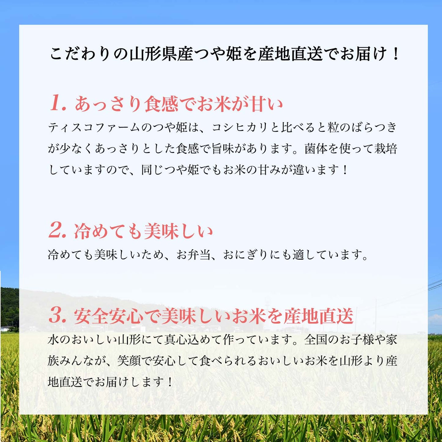 【販売終了致しました】【送料無料※一部地域除く】2024年度(令和6年度)山形県産特別栽培つや姫10kg