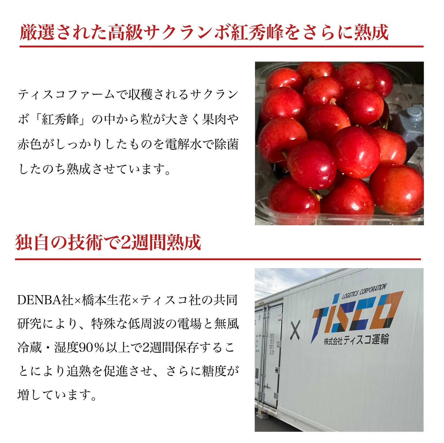 【販売終了致しました次年度販売をお待ちください】【数量限定】【期間限定】熟成サクランボ・山形県産