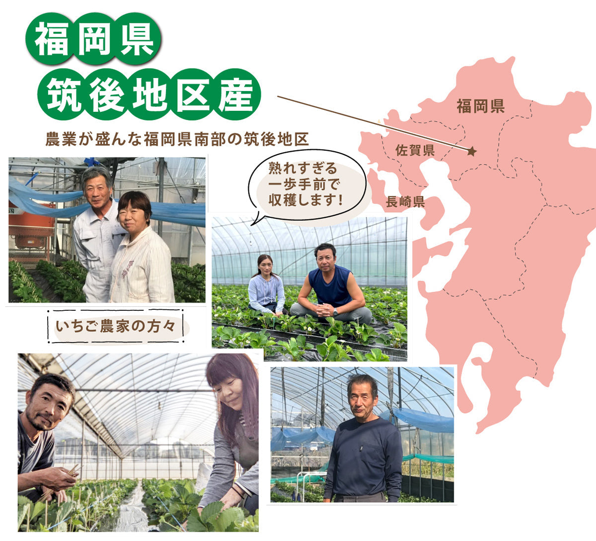 ＜12月下旬～＞【甘くて濃厚な味わい♪】九州を代表するブランドいちご「あまおう」2パック入＜福岡県産＞