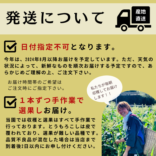 【完売御礼】＼朝どれ産直！／定番・芳醇な味わいの黄色とうもろこし 10本セット【送料込】