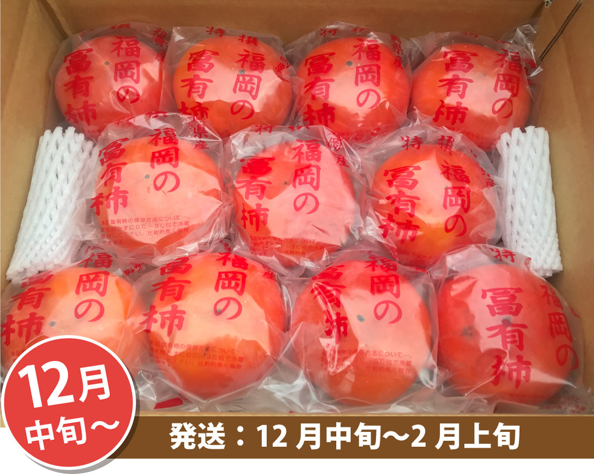 ＜定期便＞樹上完熟！★柿 ★定期便 3回コース【福岡県産】