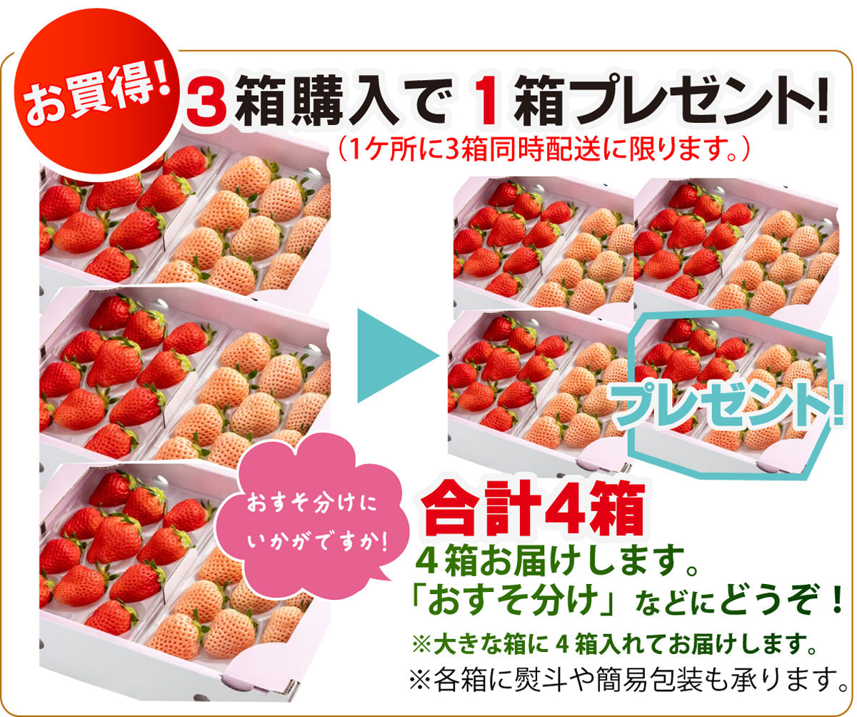 【甘味と酸味の織りなす美味しさ♪】赤と白のいちごのセット（「淡雪」＆「旬の赤いちご」各1パック入）＜佐賀県産＞