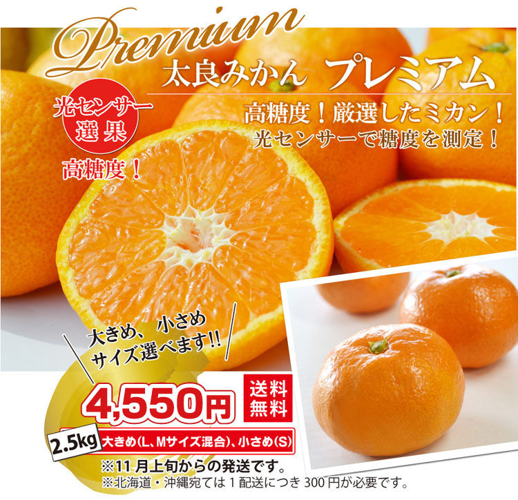 【高糖度！】★太良みかん『プレミアム』2.5kg（大きめ・小さめ選べます。）