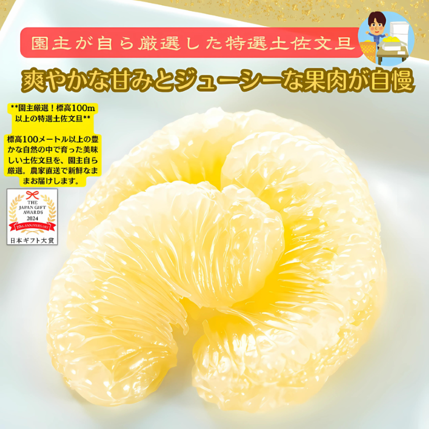 (コールセンター）【日本ギフト大賞受賞】園主こだわり土佐文旦 家庭用 3kg（5～7玉）文旦 ぶんたん ブンタン 高知 みかん 国産みかん 果物 柑橘 フルーツ 旬  冬 春  美味しい 甘い お取り寄 人気