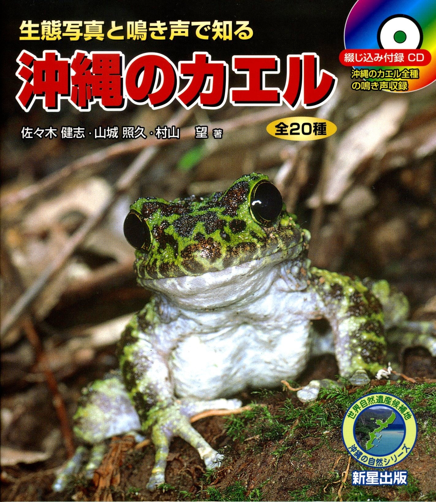 沖縄のカエル
