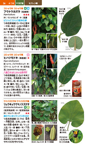 沖縄の身近な植物図鑑