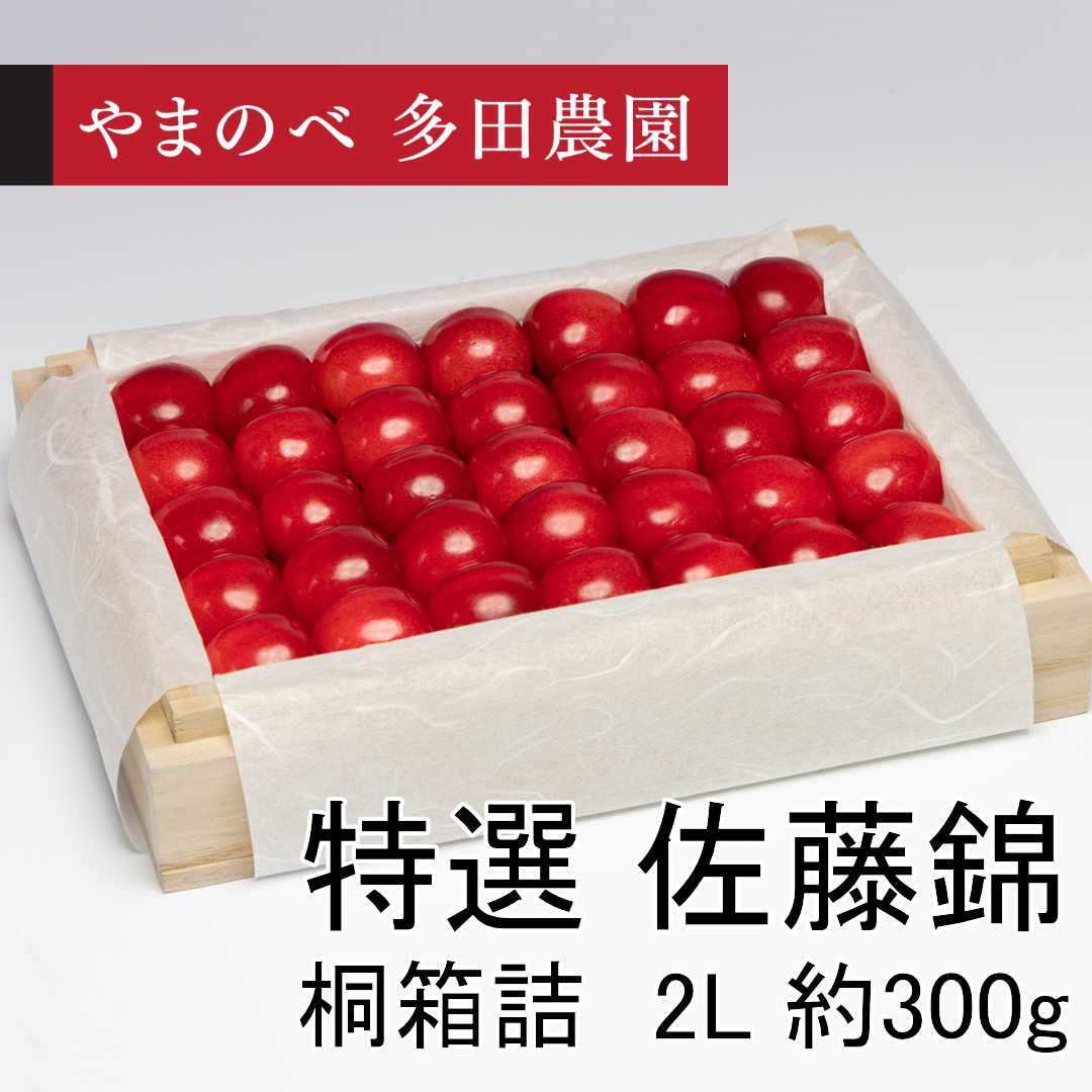 特選　佐藤錦（2Lサイズ 桐箱詰）約300g　先行予約受付中