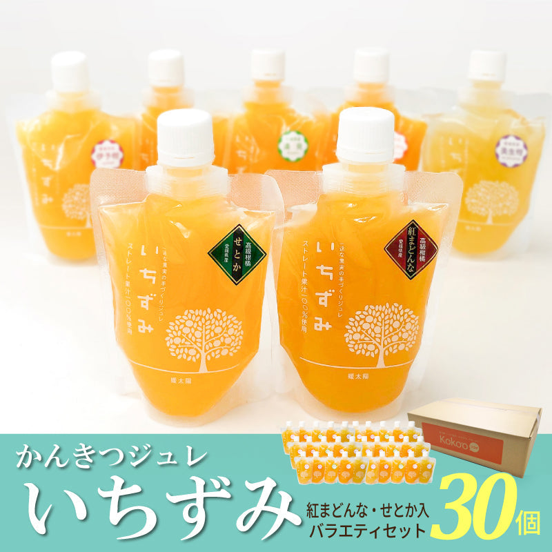 かんきつジュレ「いちずみ」　紅まどんな・せとか入り（30個セット）【送料無料】