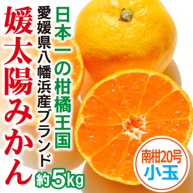 ※2025年9月頃より予約開始予定※愛媛県産「温州みかん(南柑20号)」-媛太陽みかん-〈家庭用・小玉〉約5kg