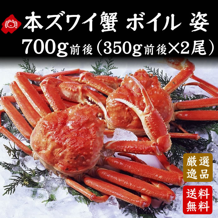 本ずわい蟹 姿 ボイル700g前後(350g前後×2尾)  数量限定 （送料無料※沖縄は別途）